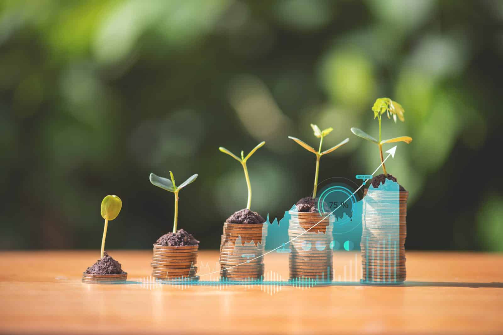 Plant-Growth